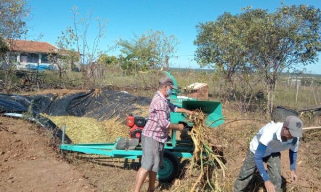 Prefeitura de Ouro Velho auxilia na produção de silagem em pequenas propriedades