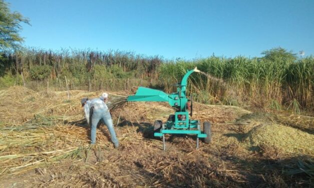 Prefeitura de Ouro Velho continua auxiliando os agricultores na confecção de silagem