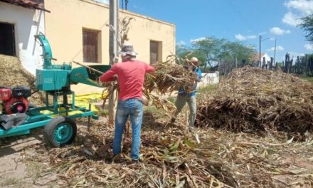 Prefeitura de Ouro Velho oferece serviços de silagem para produtores rurais