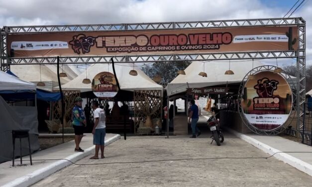 Expo Ouro Velho Sucesso em sua primeira edição