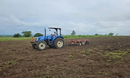 Programa de Aração de Terras abre inscrições em Ouro Velho a partir de 12 de janeiro