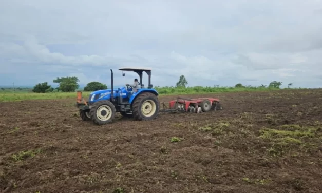 Programa de Aração de Terras abre inscrições em Ouro Velho a partir de 12 de janeiro
